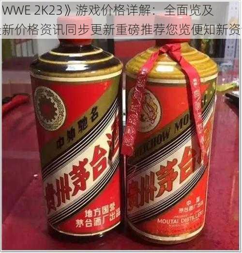 《WWE 2K23》游戏价格详解：全面览及最新价格资讯同步更新重磅推荐您览便知新资讯