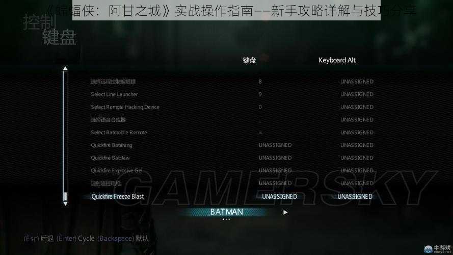 《蝙蝠侠：阿甘之城》实战操作指南——新手攻略详解与技巧分享