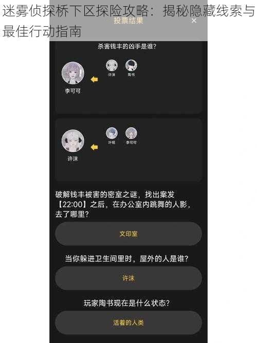 迷雾侦探桥下区探险攻略：揭秘隐藏线索与最佳行动指南