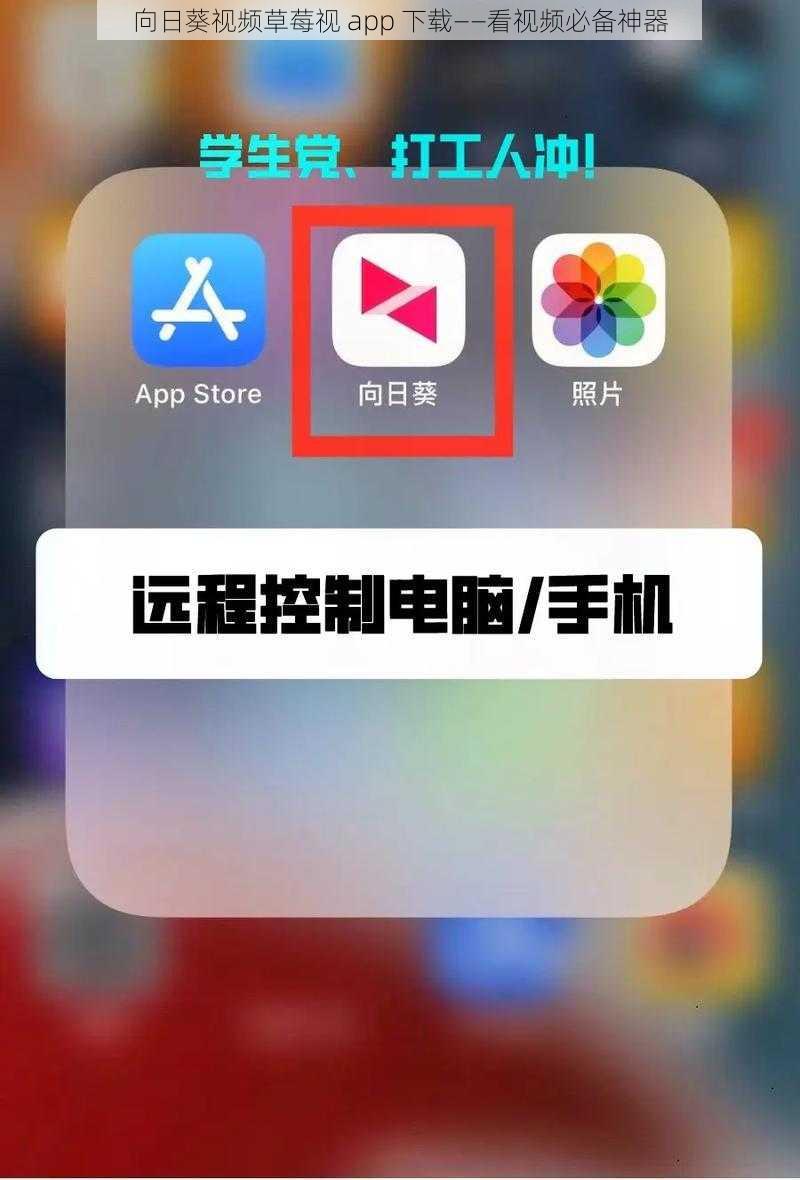 向日葵视频草莓视 app 下载——看视频必备神器