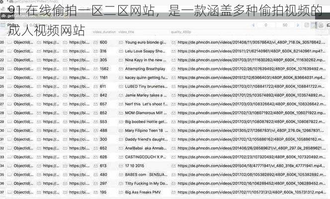 91 在线偷拍一区二区网站，是一款涵盖多种偷拍视频的成人视频网站