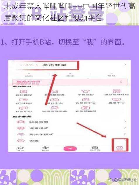 未成年禁入哔哩哔哩——中国年轻世代高度聚集的文化社区和视频平台