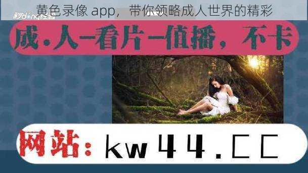 黄色录像 app，带你领略成人世界的精彩