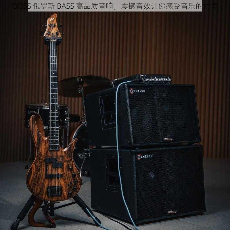 BOSS 俄罗斯 BASS 高品质音响，震撼音效让你感受音乐的力量