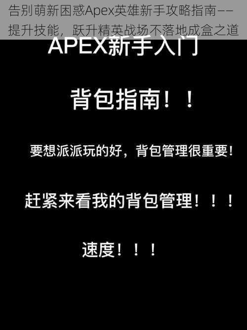 告别萌新困惑Apex英雄新手攻略指南——提升技能，跃升精英战场不落地成盒之道