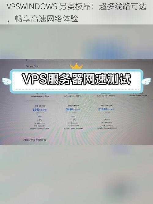 VPSWINDOWS 另类极品：超多线路可选，畅享高速网络体验