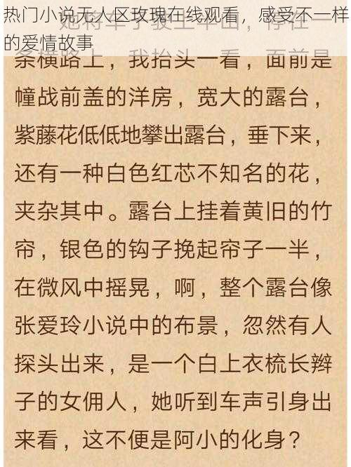 热门小说无人区玫瑰在线观看，感受不一样的爱情故事