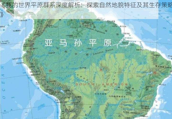 《我的世界平原群系深度解析：探索自然地貌特征及其生存策略》