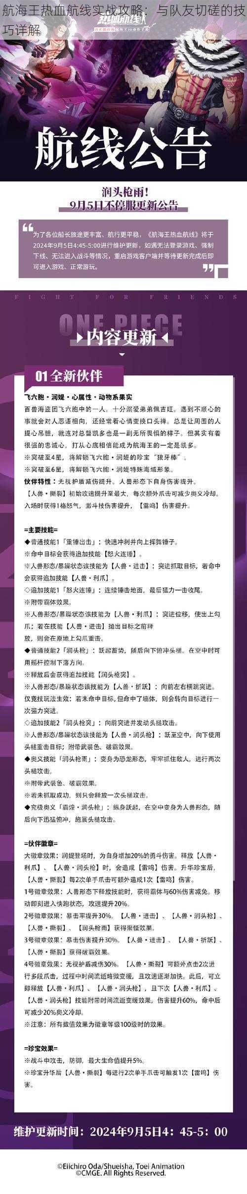 航海王热血航线实战攻略：与队友切磋的技巧详解