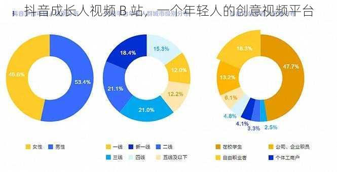 抖音成长人视频 B 站，一个年轻人的创意视频平台