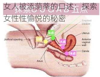 女人被添荫蒂的口述：探索女性性愉悦的秘密