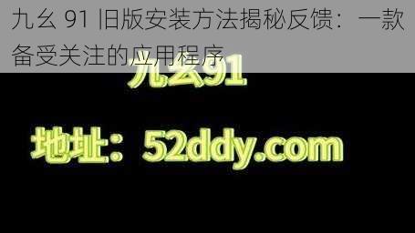 九幺 91 旧版安装方法揭秘反馈：一款备受关注的应用程序