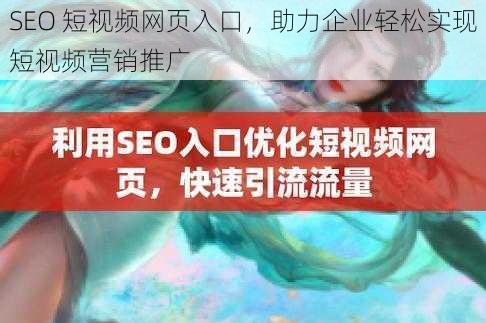 SEO 短视频网页入口，助力企业轻松实现短视频营销推广