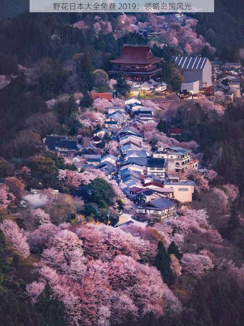 野花日本大全免费 2019：领略岛国风光