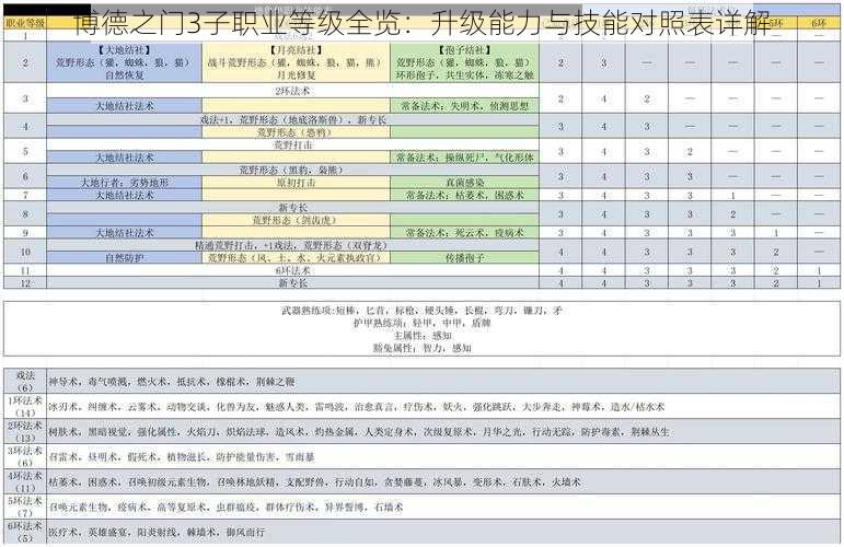 博德之门3子职业等级全览：升级能力与技能对照表详解