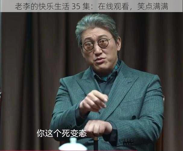 老李的快乐生活 35 集：在线观看，笑点满满