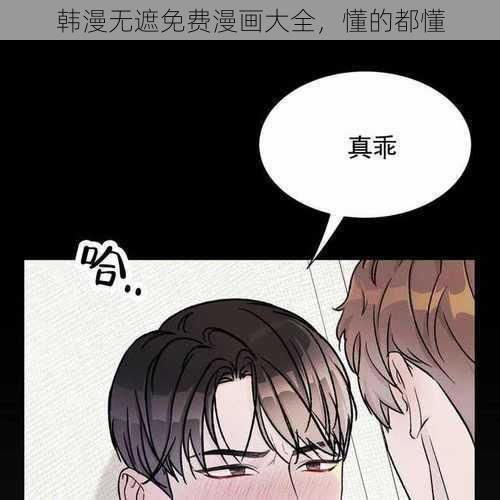 韩漫无遮免费漫画大全，懂的都懂