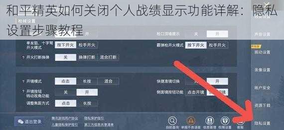 和平精英如何关闭个人战绩显示功能详解：隐私设置步骤教程