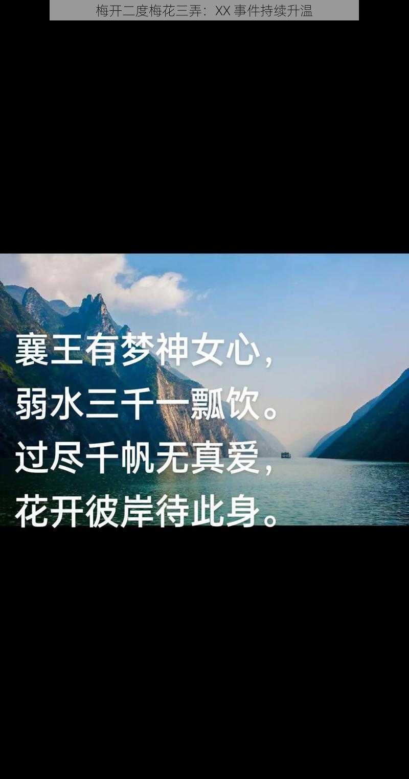 梅开二度梅花三弄：XX 事件持续升温