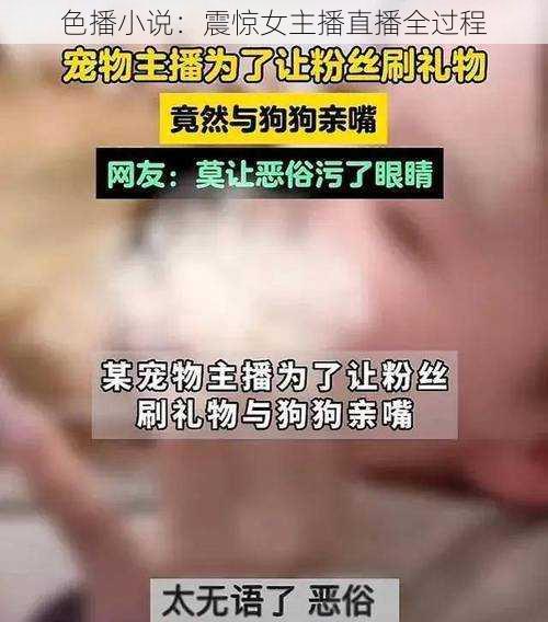 色播小说：震惊女主播直播全过程