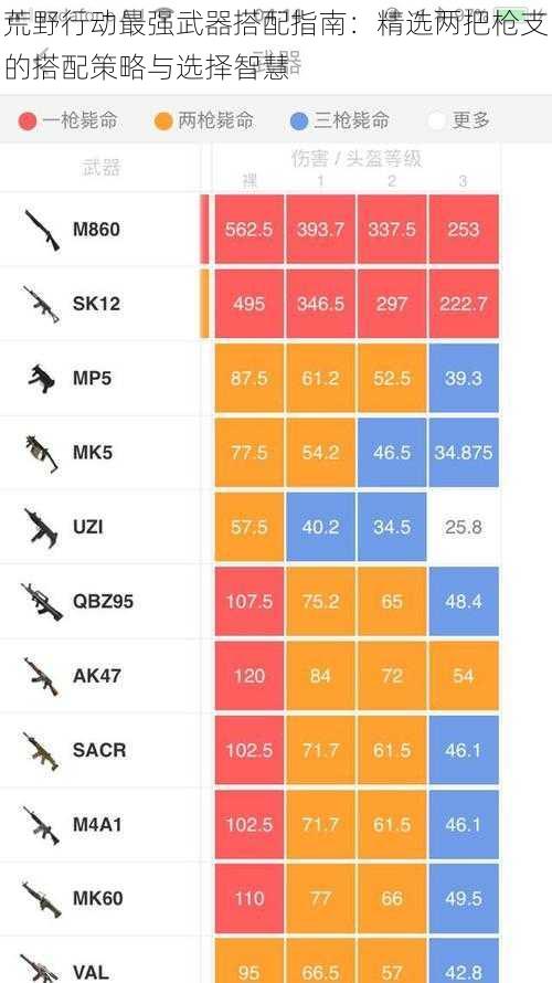 荒野行动最强武器搭配指南：精选两把枪支的搭配策略与选择智慧