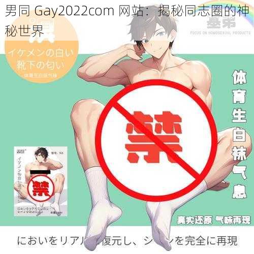 男同 Gay2022com 网站：揭秘同志圈的神秘世界