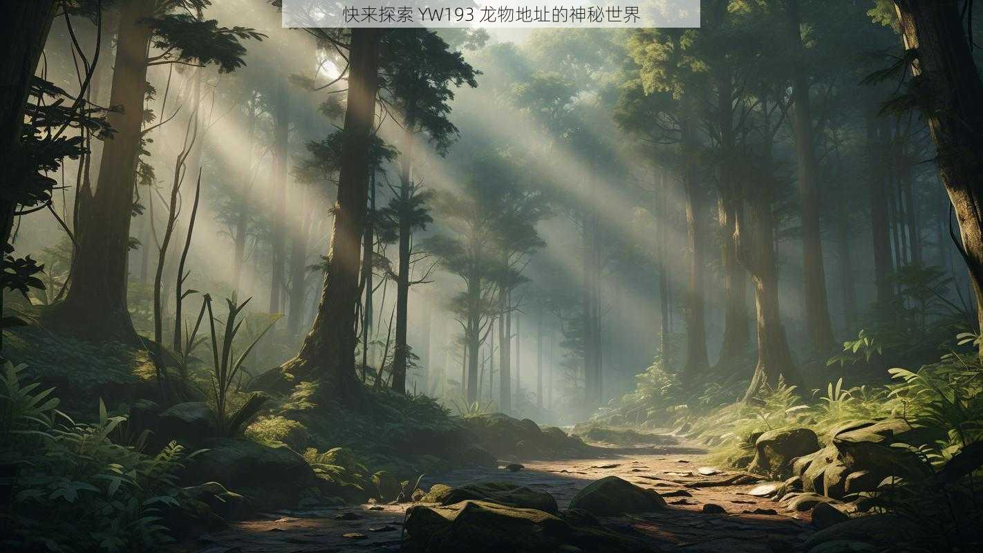 快来探索 YW193 龙物地址的神秘世界