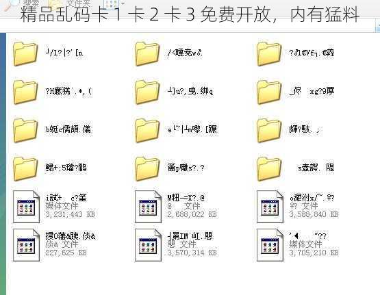 精品乱码卡 1 卡 2 卡 3 免费开放，内有猛料