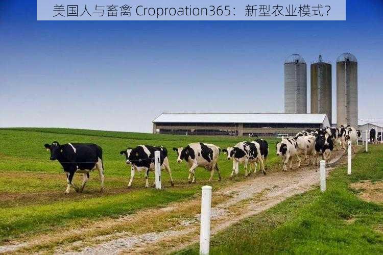 美国人与畜禽 Croproation365：新型农业模式？