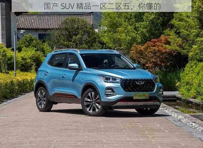 国产 SUV 精品一区二区五，你懂的