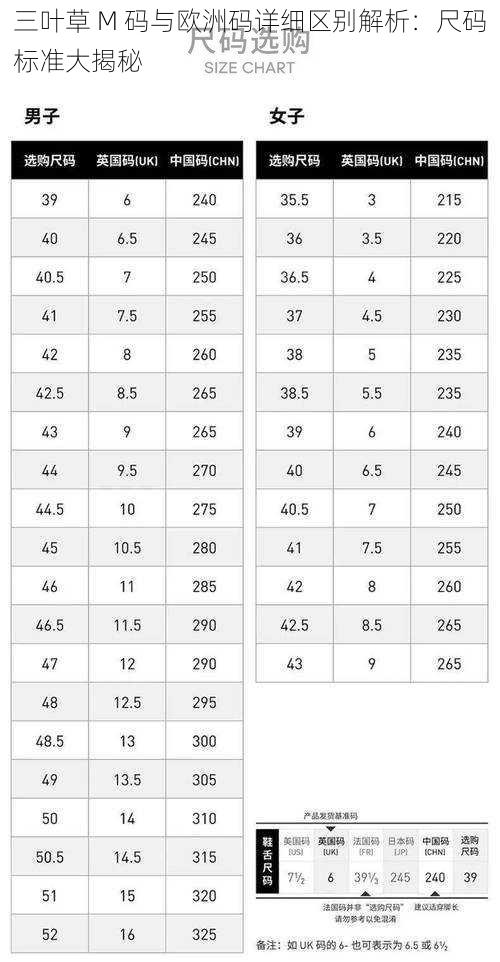 三叶草 M 码与欧洲码详细区别解析：尺码标准大揭秘