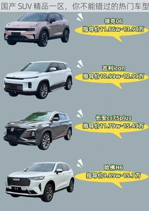 国产 SUV 精品一区，你不能错过的热门车型