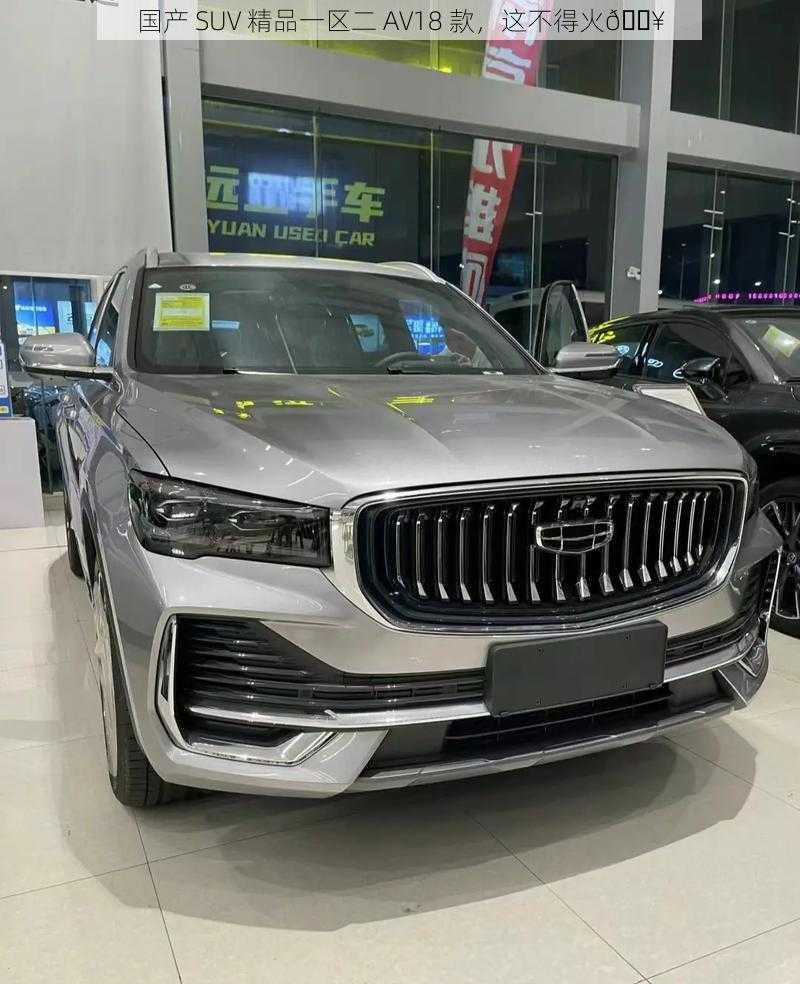 国产 SUV 精品一区二 AV18 款，这不得火🔥