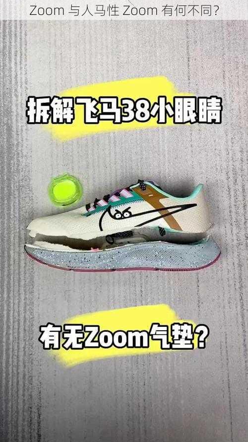 Zoom 与人马性 Zoom 有何不同？