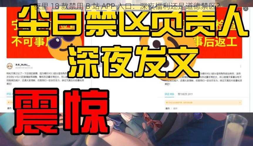 夜里 18 款禁用 B 站 APP 入口：深夜福利还是道德禁区？