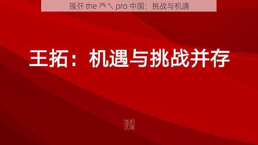 强㢨 the 癶乀 pro 中国：挑战与机遇