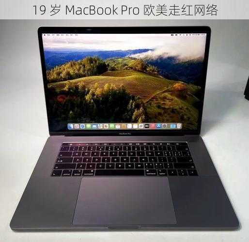 19 岁 MacBook Pro 欧美走红网络