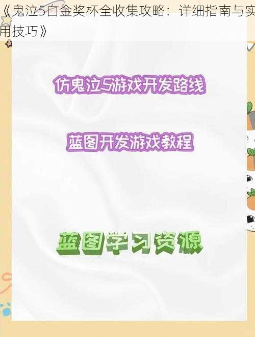 《鬼泣5白金奖杯全收集攻略：详细指南与实用技巧》