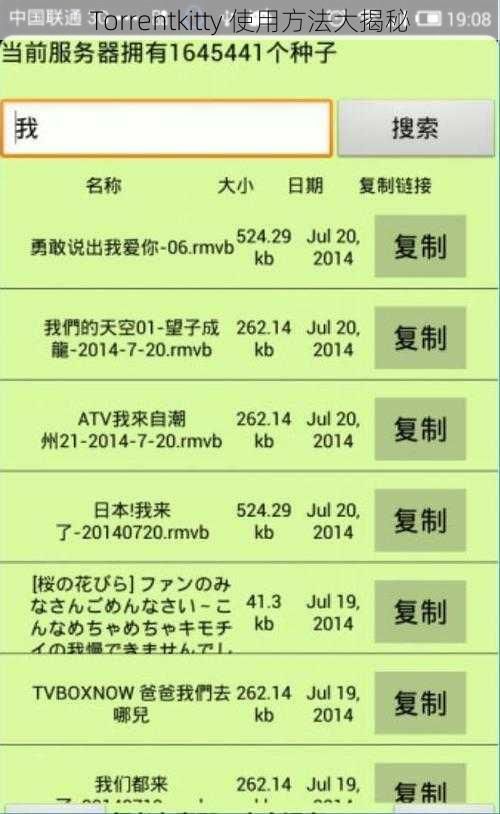 Torrentkitty 使用方法大揭秘